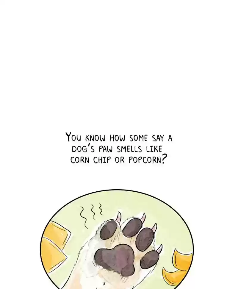 A Budgie's Life Chapter 192: Ep.191: