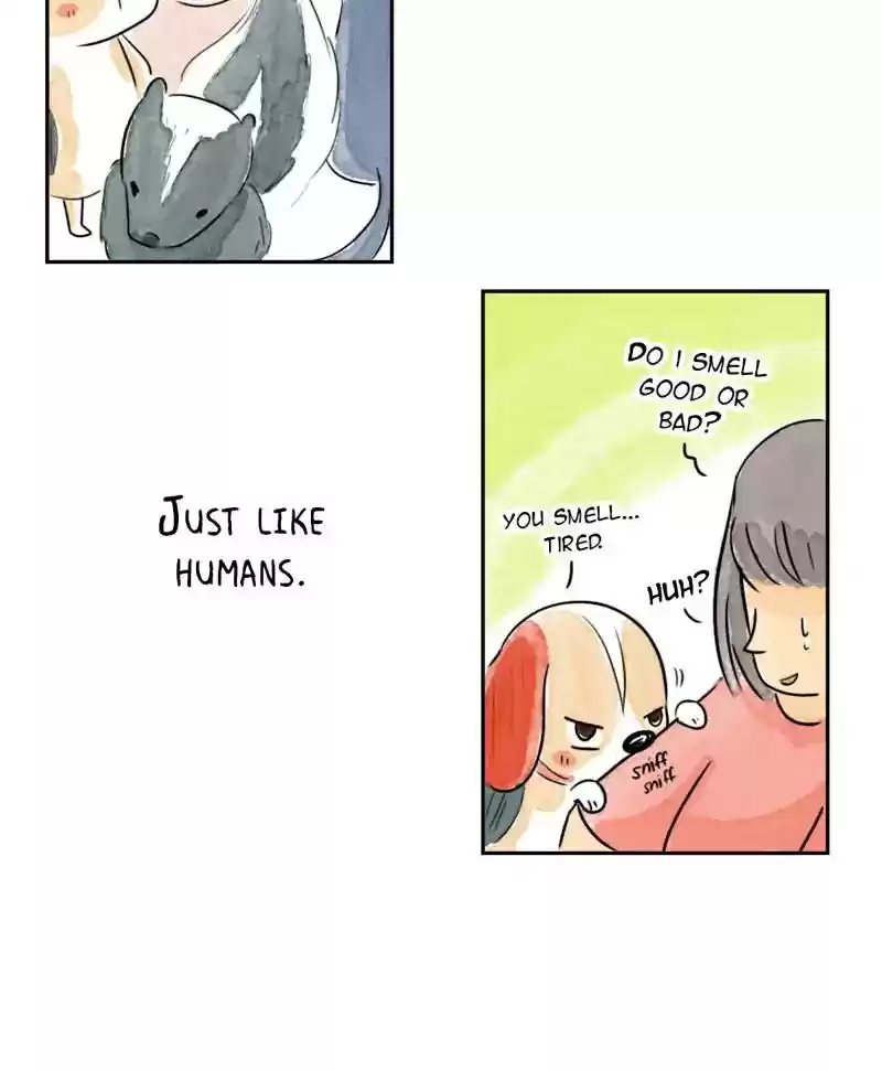 A Budgie's Life Chapter 192: Ep.191: