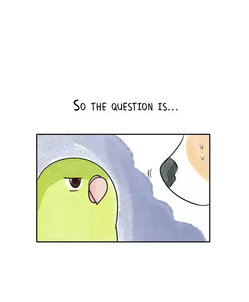 A Budgie's Life Chapter 192: Ep.191: