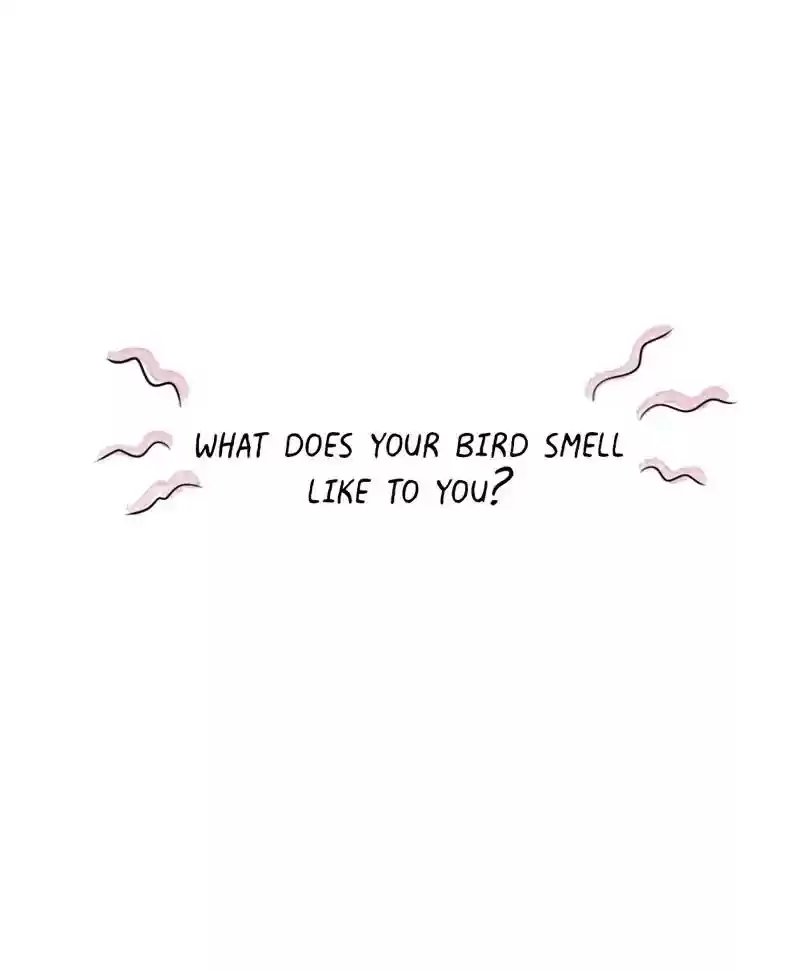 A Budgie's Life Chapter 192: Ep.191: