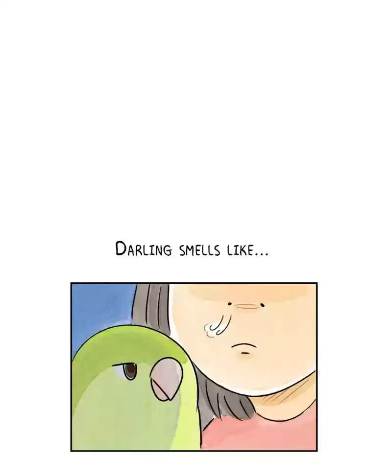 A Budgie's Life Chapter 192: Ep.191: