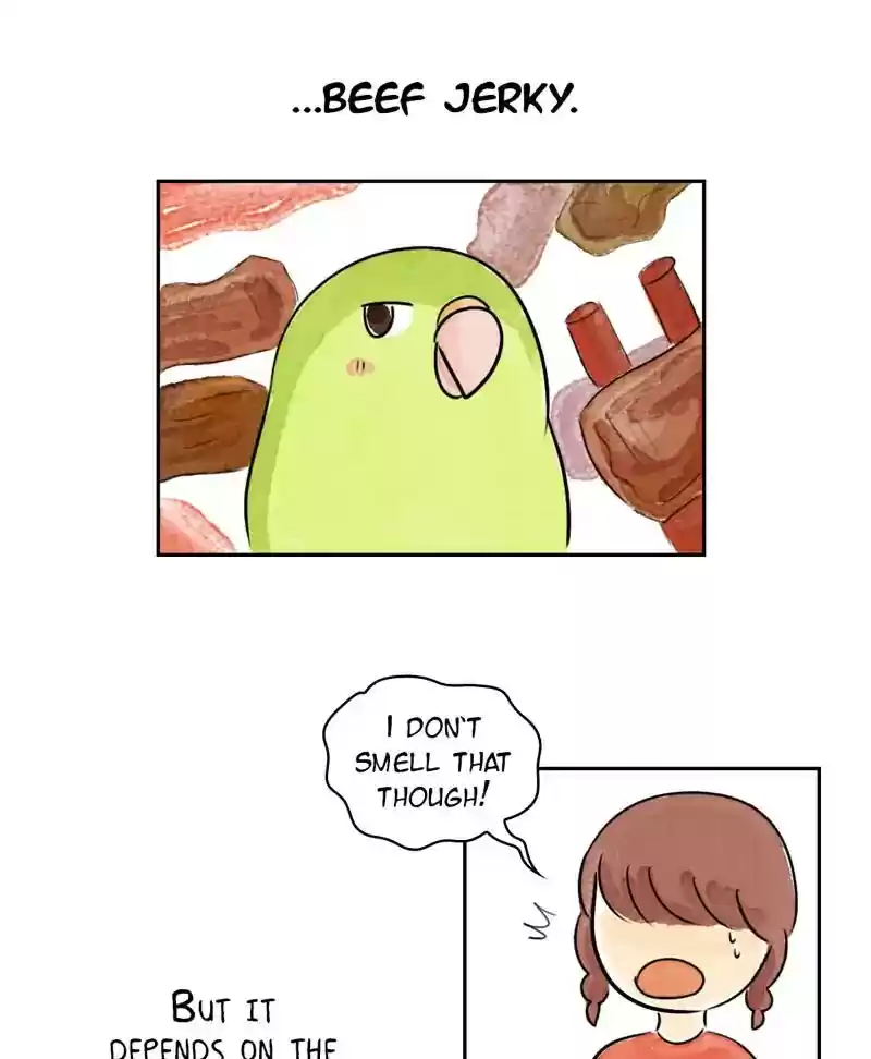 A Budgie's Life Chapter 192: Ep.191: