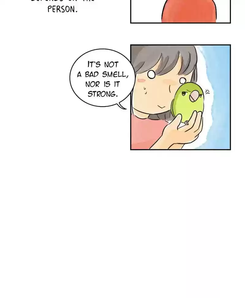 A Budgie's Life Chapter 192: Ep.191: