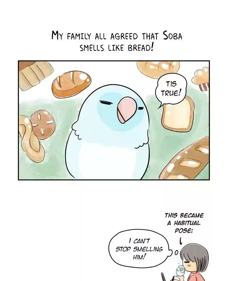 A Budgie's Life Chapter 192: Ep.191: