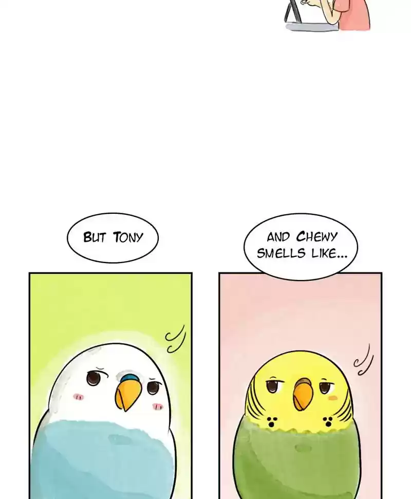 A Budgie's Life Chapter 192: Ep.191:
