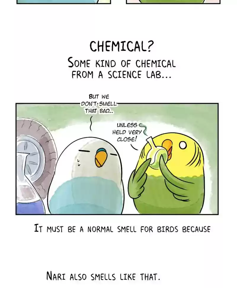 A Budgie's Life Chapter 192: Ep.191: