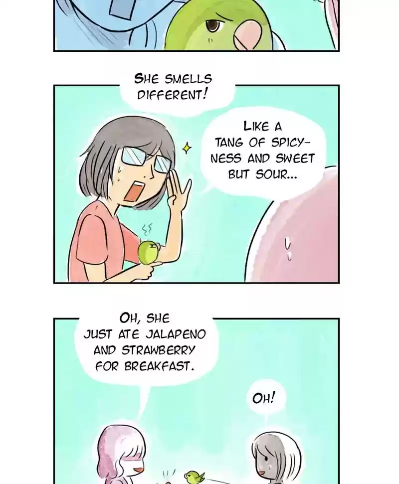 A Budgie's Life Chapter 192: Ep.191: