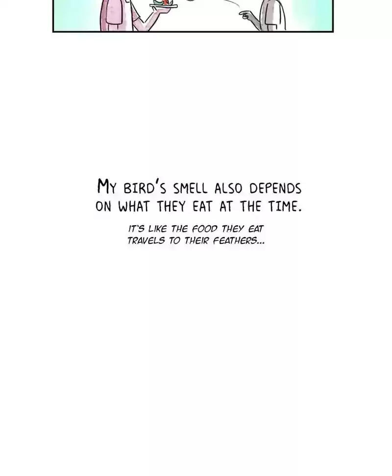 A Budgie's Life Chapter 192: Ep.191:
