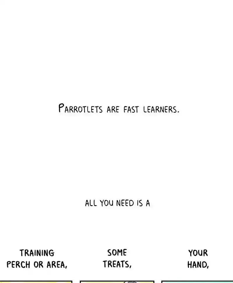 A Budgie's Life Chapter 193: Ep.192: