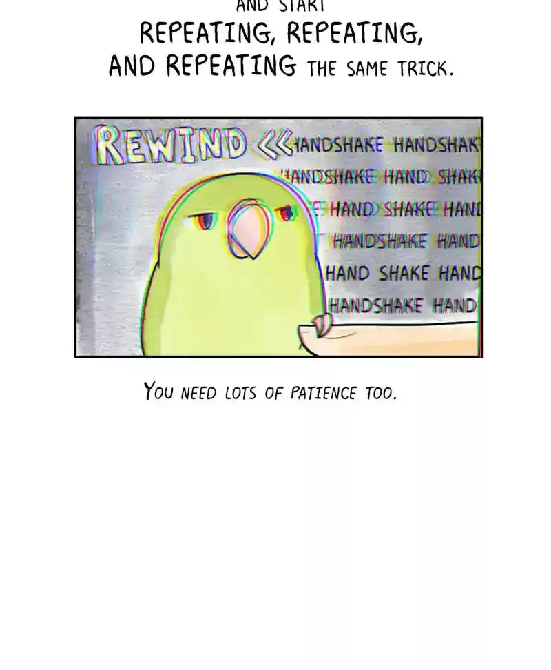 A Budgie's Life Chapter 193: Ep.192: