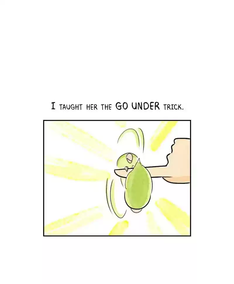 A Budgie's Life Chapter 193: Ep.192: