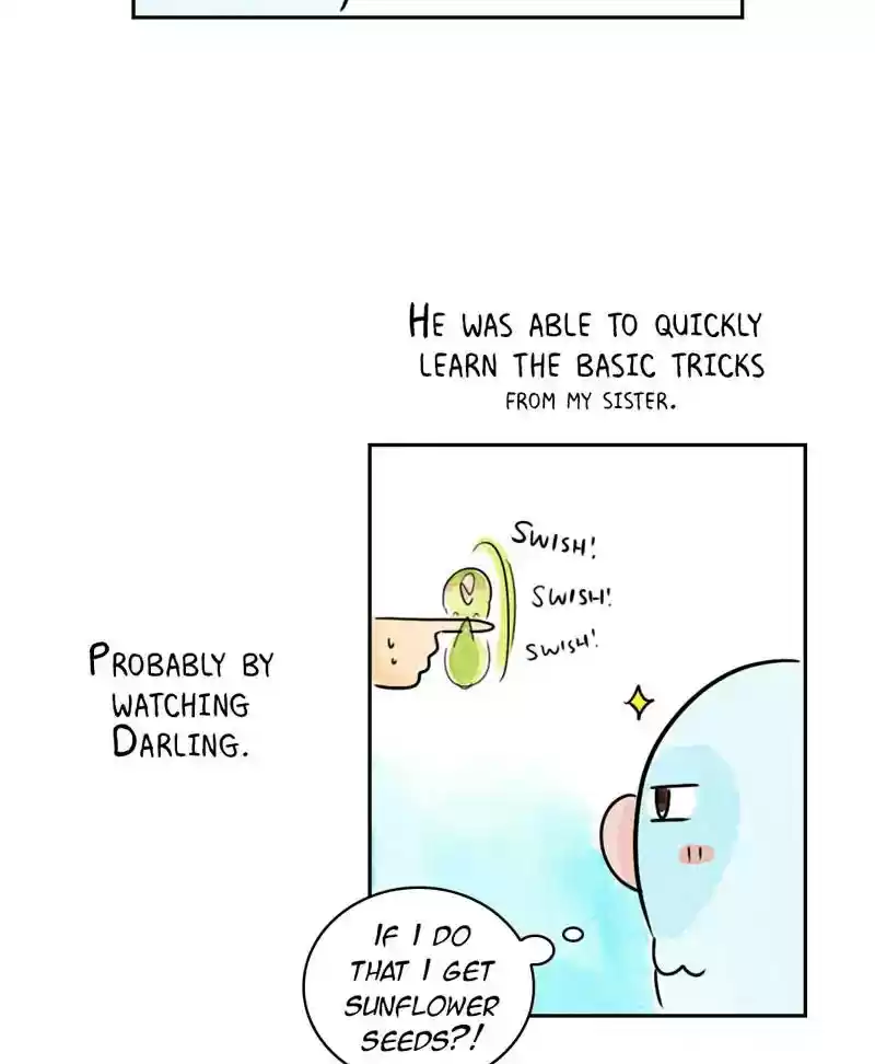 A Budgie's Life Chapter 193: Ep.192: