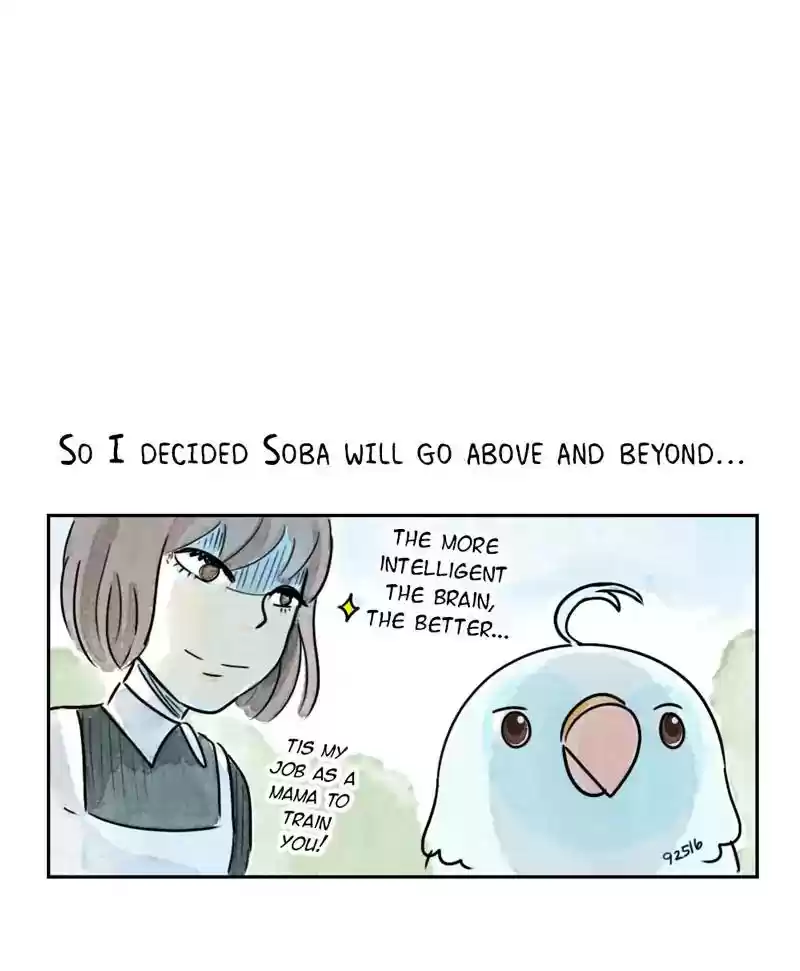 A Budgie's Life Chapter 193: Ep.192: