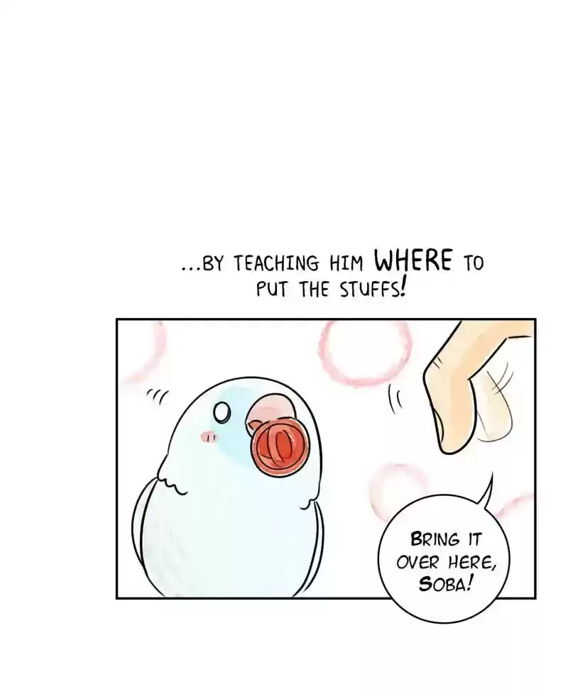 A Budgie's Life Chapter 193: Ep.192: