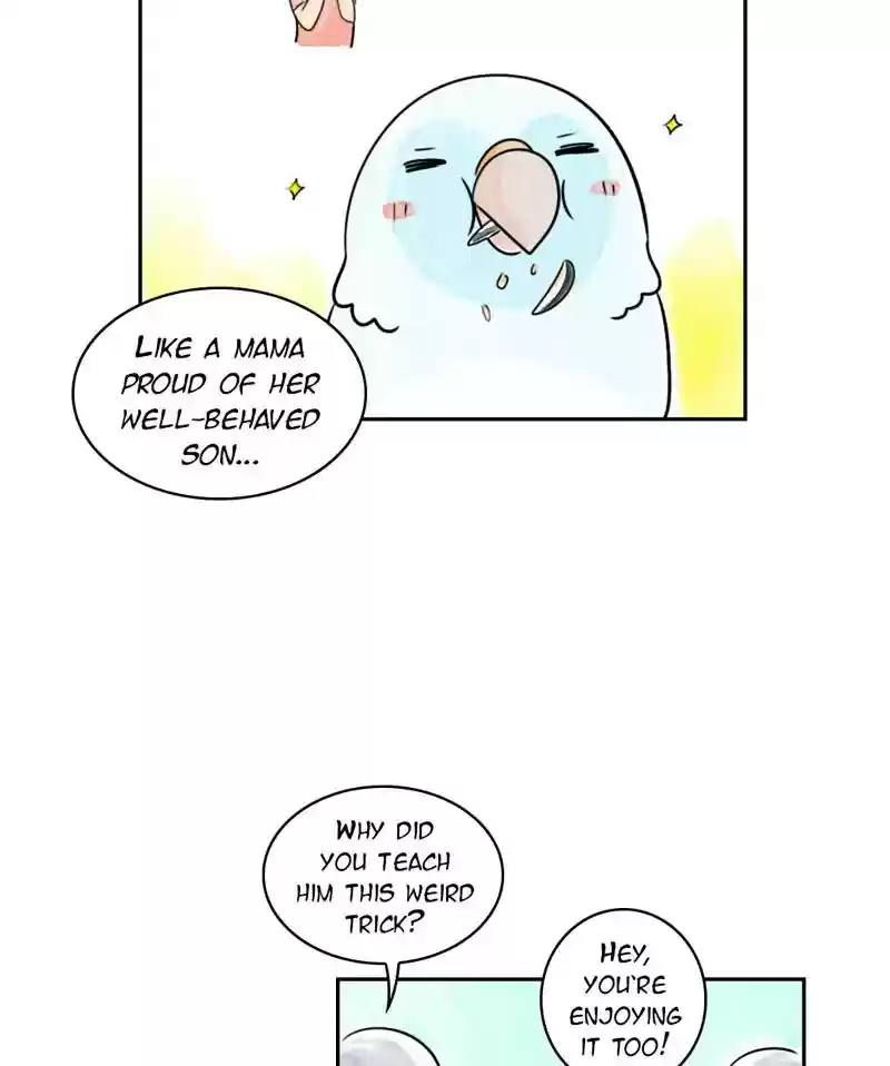 A Budgie's Life Chapter 193: Ep.192: