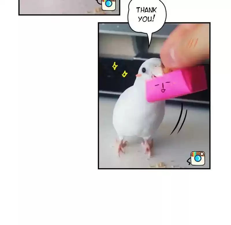 A Budgie's Life Chapter 193: Ep.192: