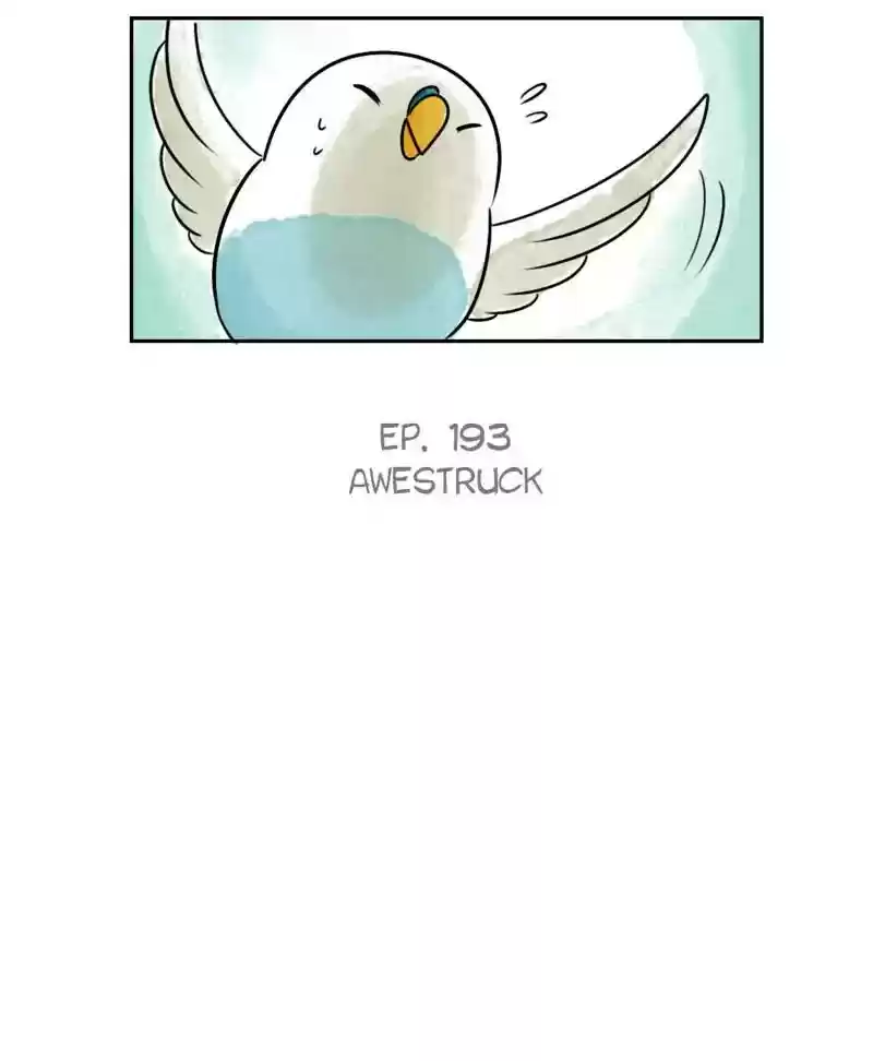 A Budgie's Life Chapter 194: Ep.193: