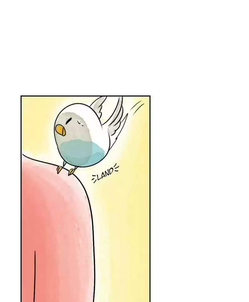A Budgie's Life Chapter 194: Ep.193: