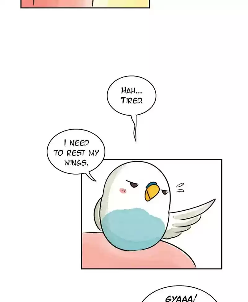 A Budgie's Life Chapter 194: Ep.193: