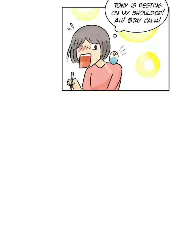 A Budgie's Life Chapter 194: Ep.193: