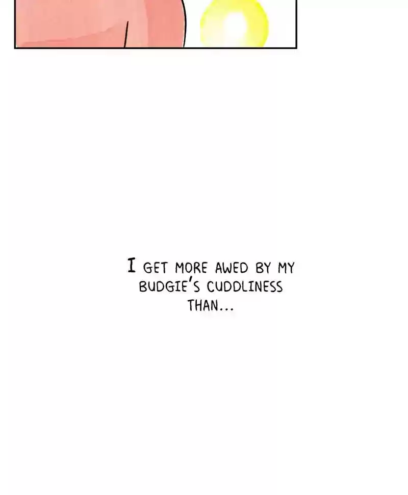 A Budgie's Life Chapter 194: Ep.193: