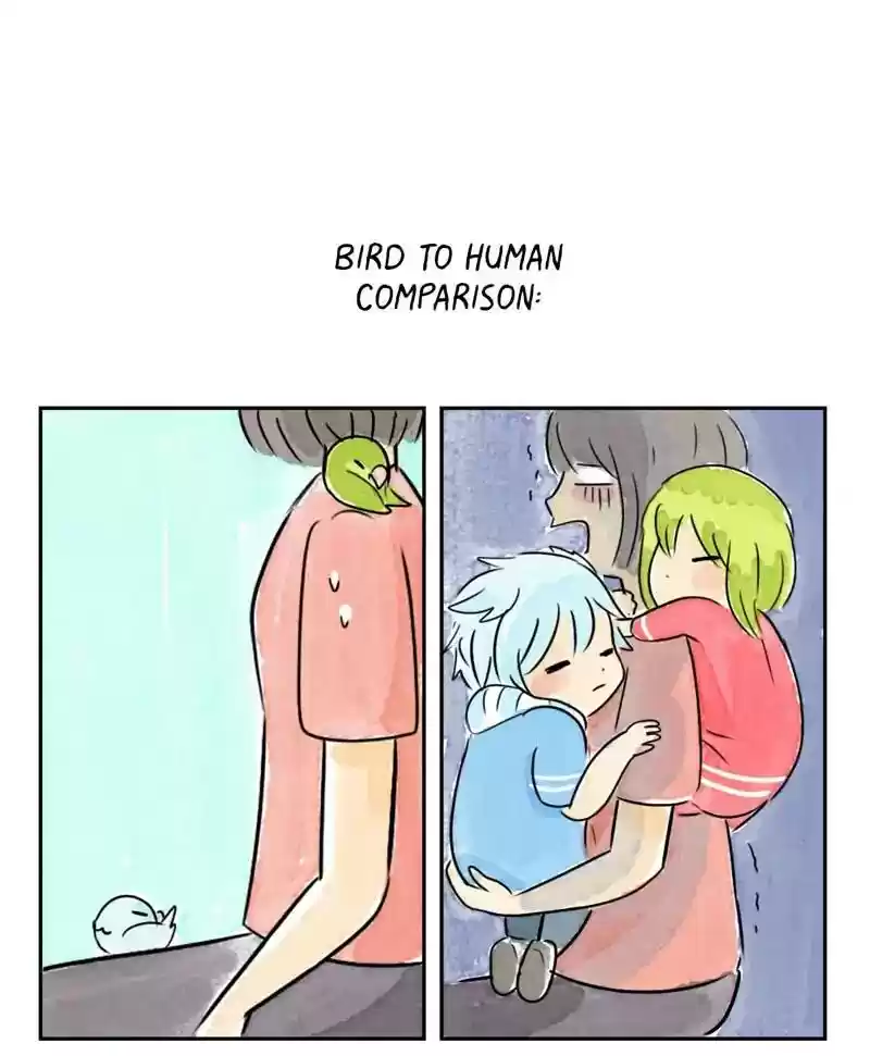 A Budgie's Life Chapter 194: Ep.193: