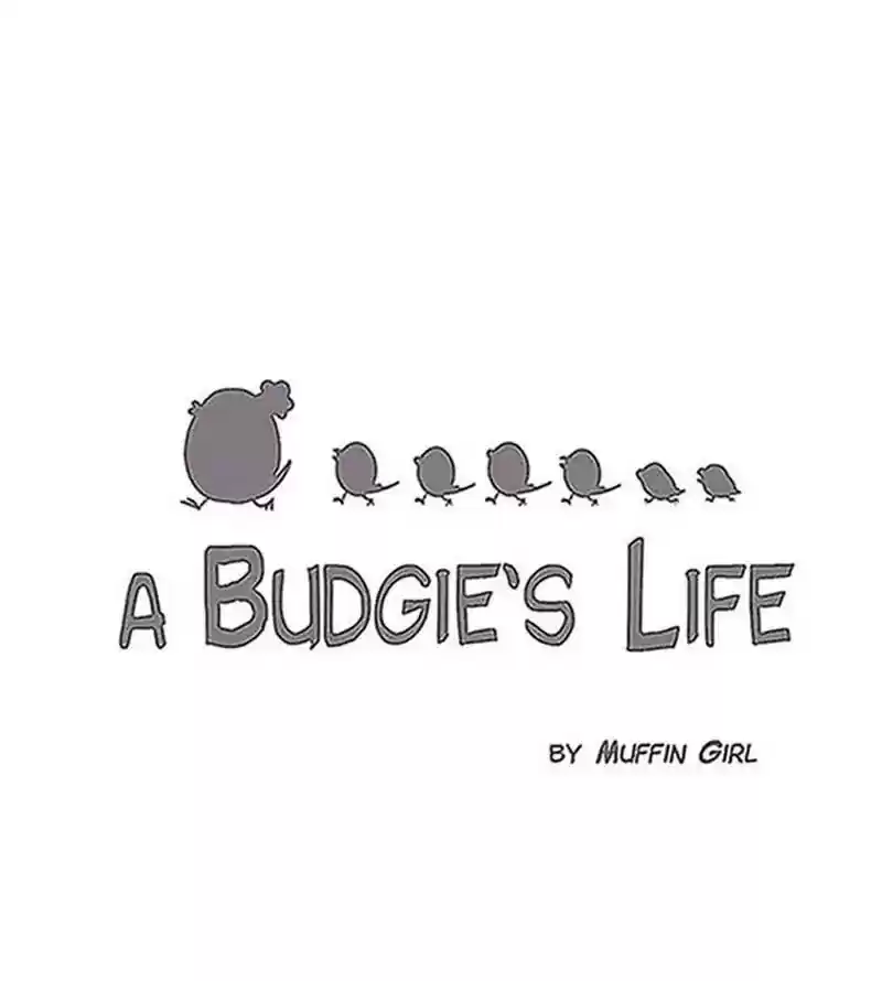 A Budgie's Life Chapter 195: Ep.194: