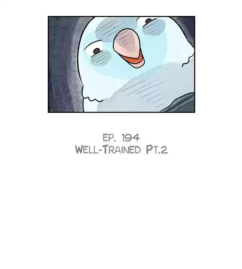 A Budgie's Life Chapter 195: Ep.194: