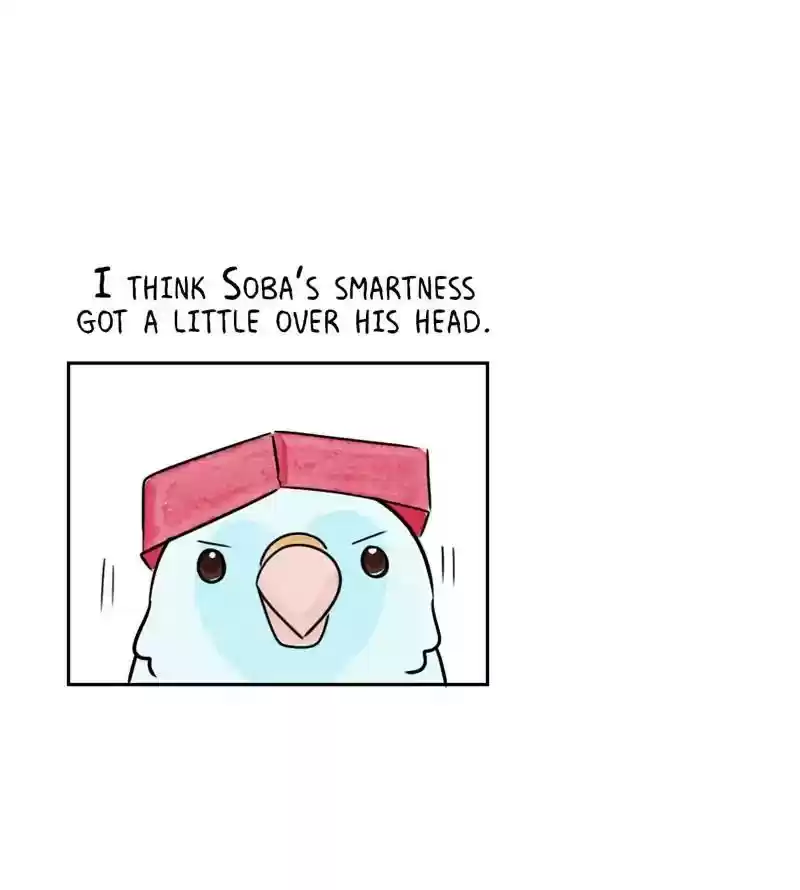 A Budgie's Life Chapter 195: Ep.194: