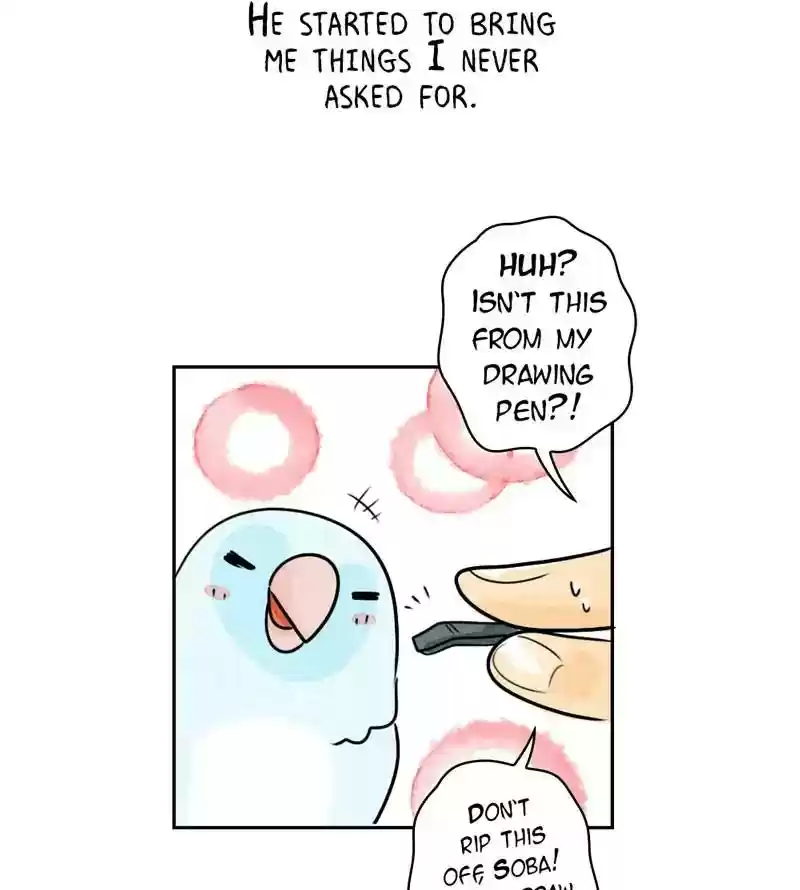 A Budgie's Life Chapter 195: Ep.194: