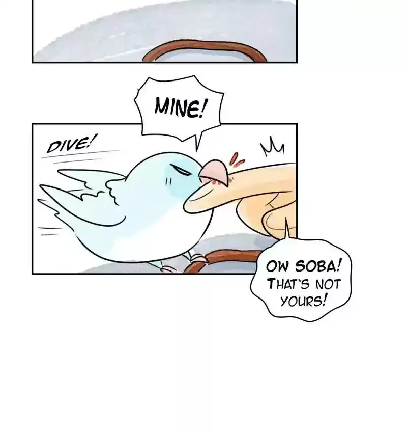 A Budgie's Life Chapter 195: Ep.194:
