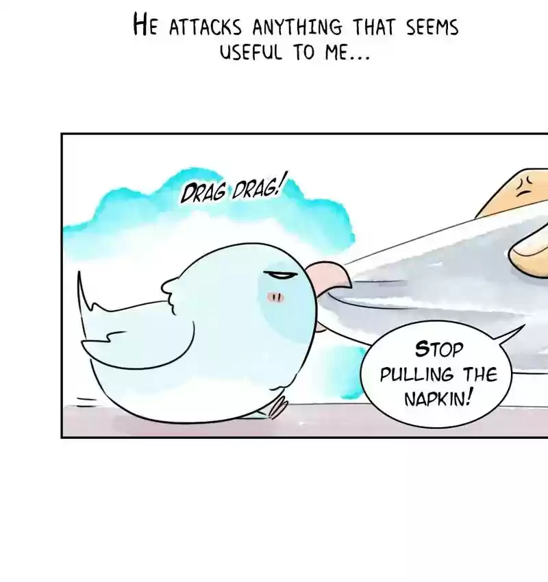 A Budgie's Life Chapter 195: Ep.194: