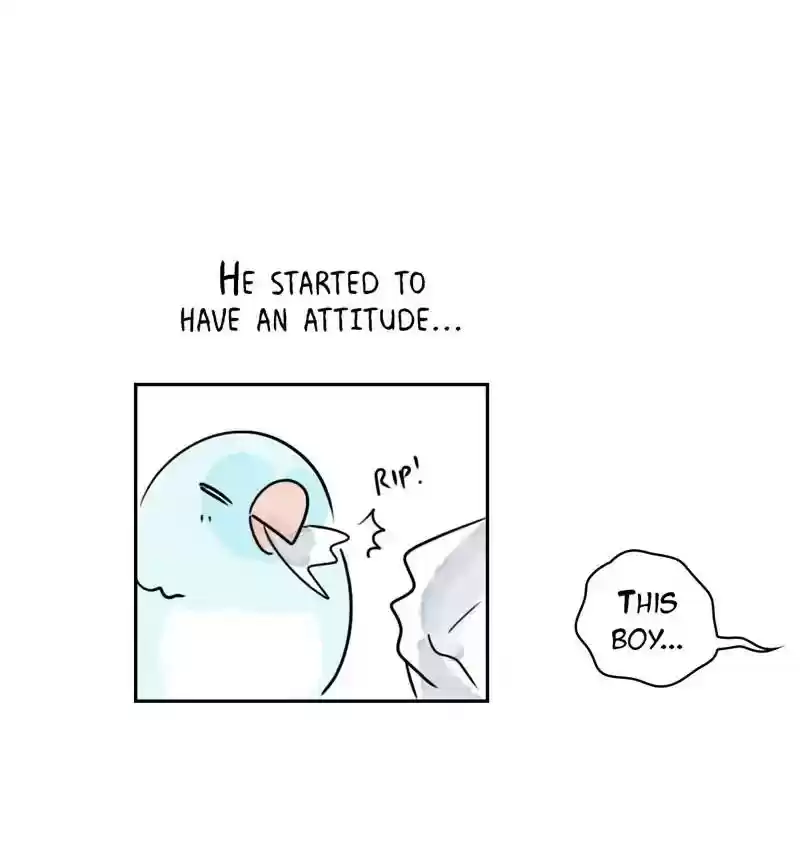 A Budgie's Life Chapter 195: Ep.194:
