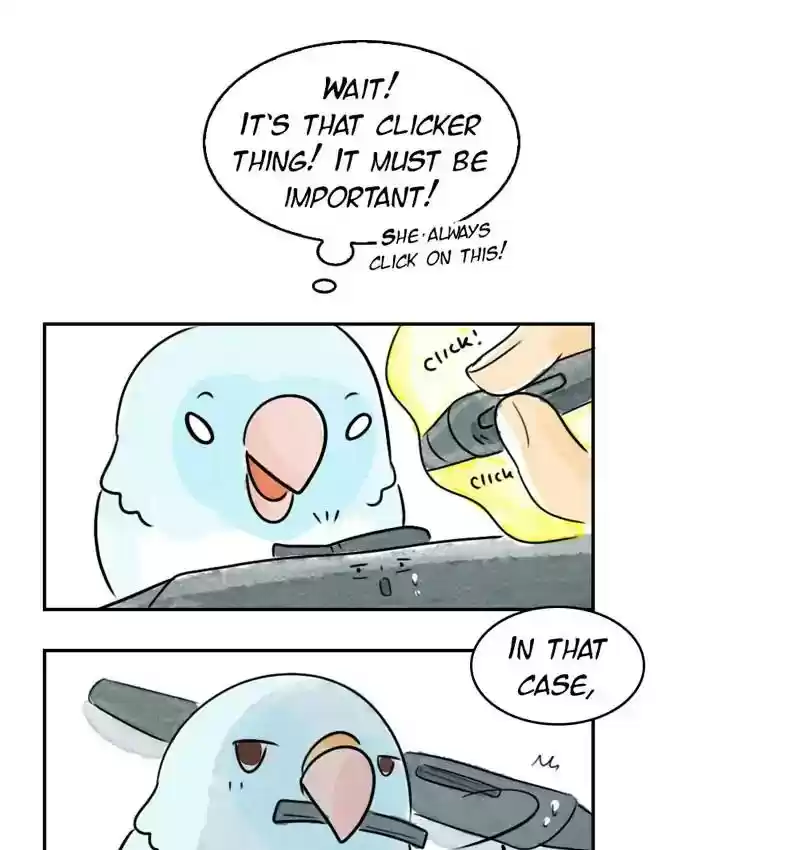 A Budgie's Life Chapter 195: Ep.194: