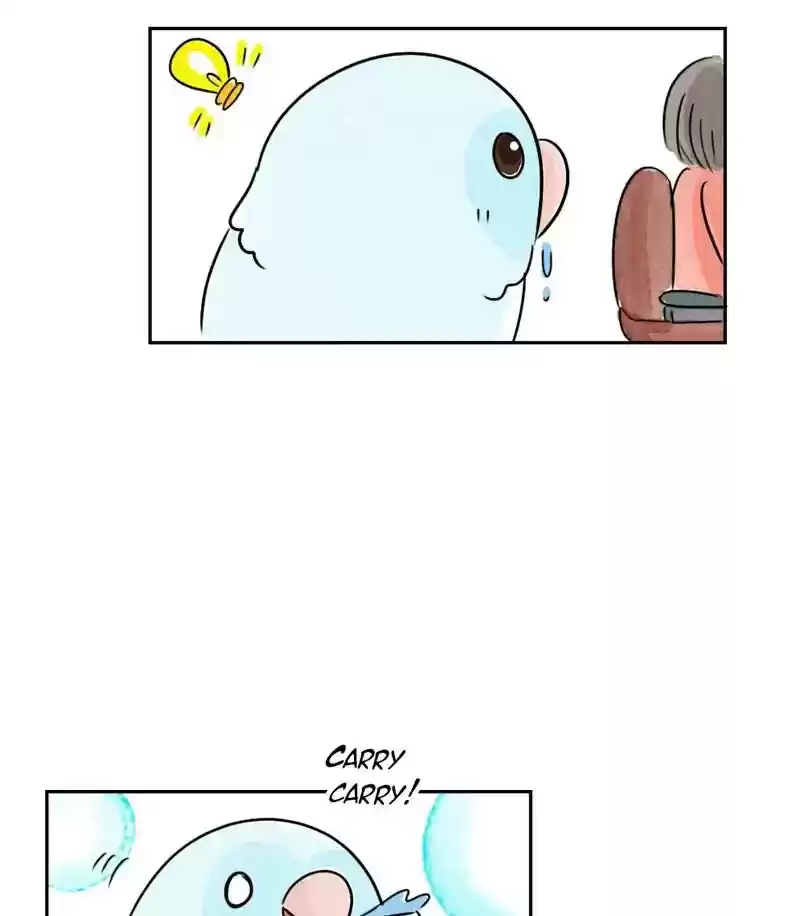 A Budgie's Life Chapter 195: Ep.194: