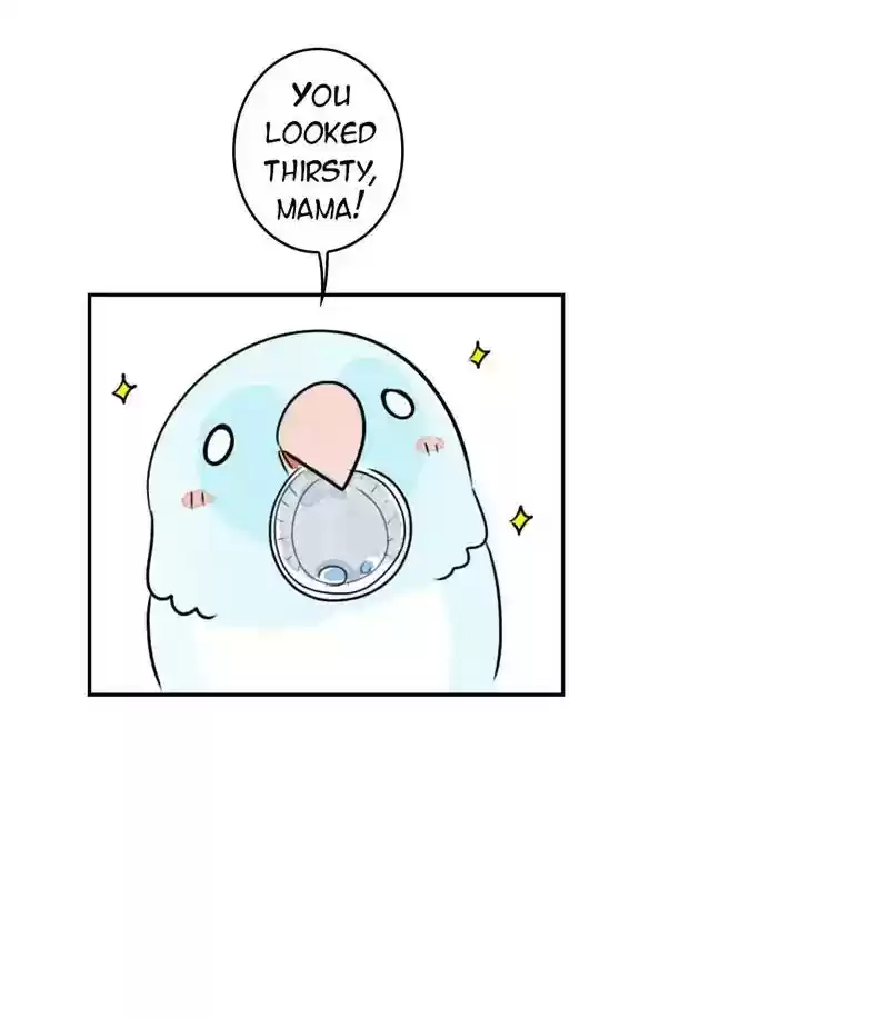 A Budgie's Life Chapter 195: Ep.194: