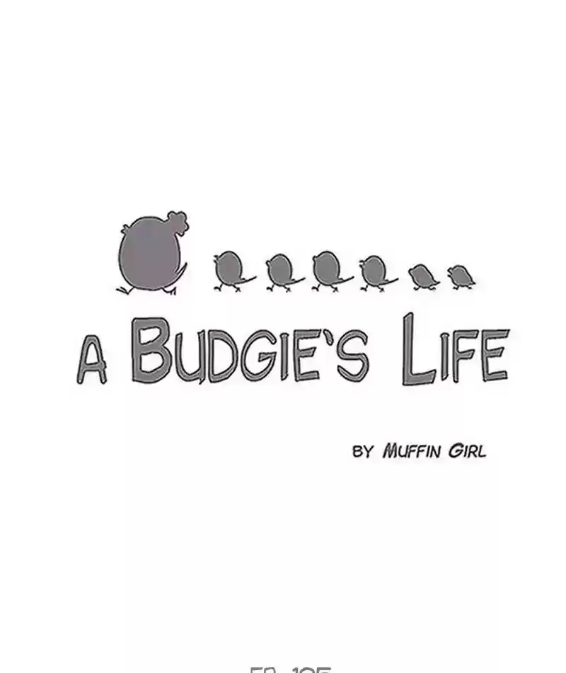 A Budgie's Life Chapter 196: Ep.195: