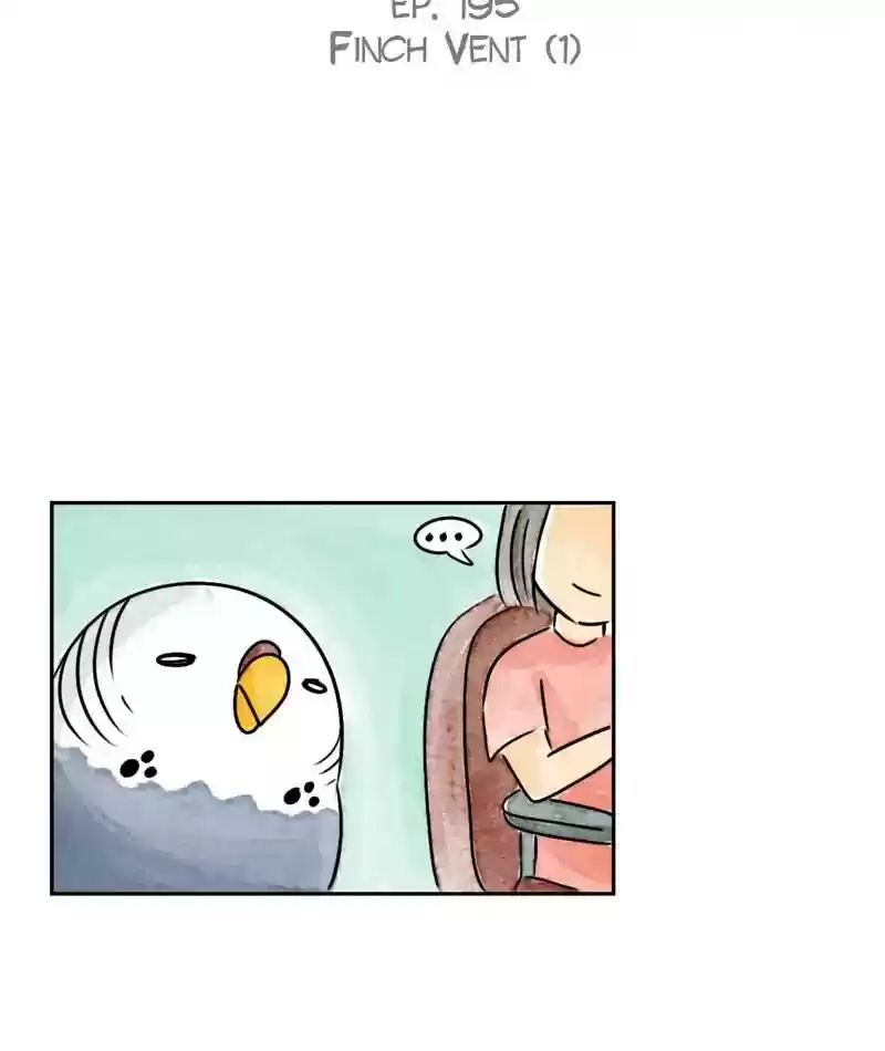 A Budgie's Life Chapter 196: Ep.195: