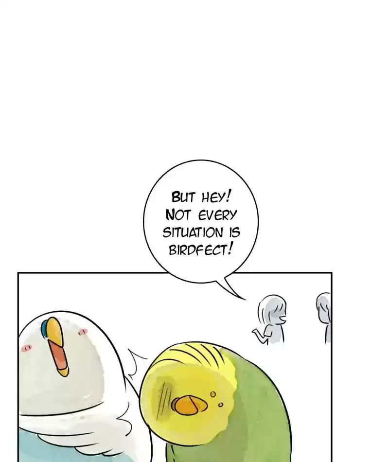 A Budgie's Life Chapter 196: Ep.195: