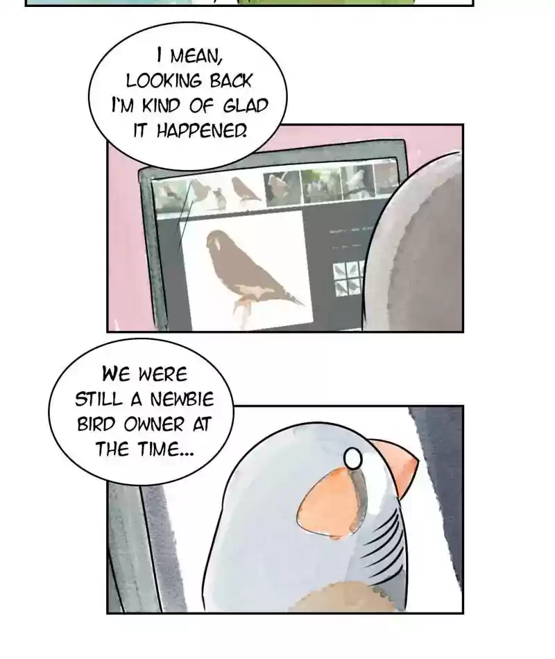 A Budgie's Life Chapter 196: Ep.195: