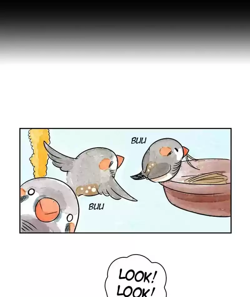 A Budgie's Life Chapter 196: Ep.195: