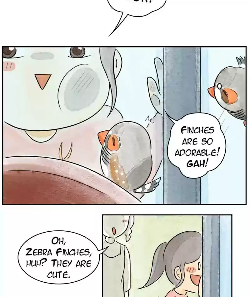 A Budgie's Life Chapter 196: Ep.195: