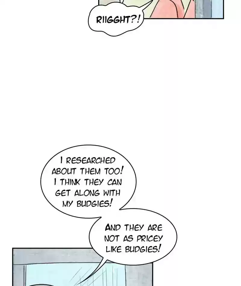 A Budgie's Life Chapter 196: Ep.195: