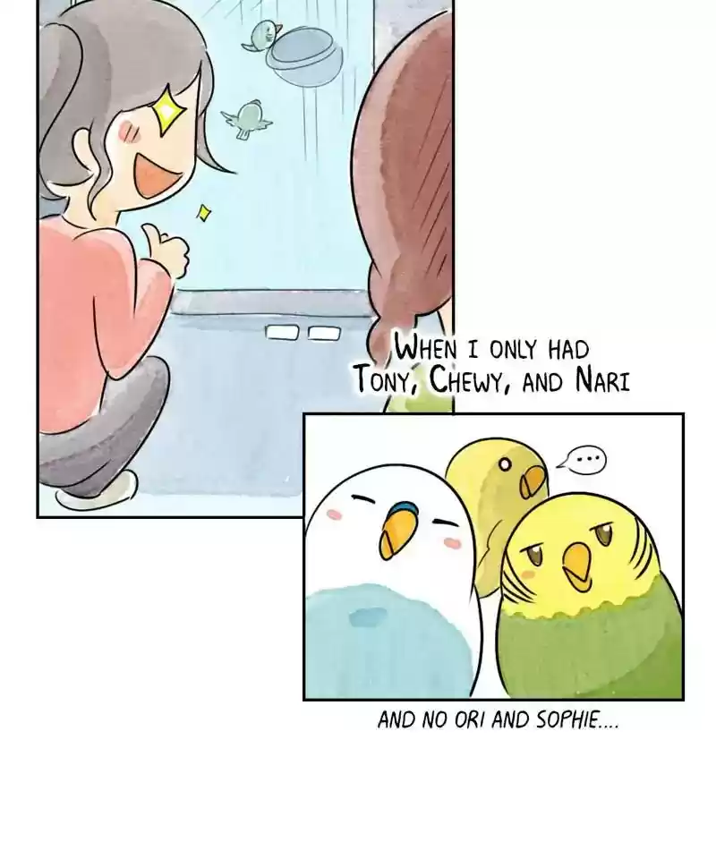 A Budgie's Life Chapter 196: Ep.195: