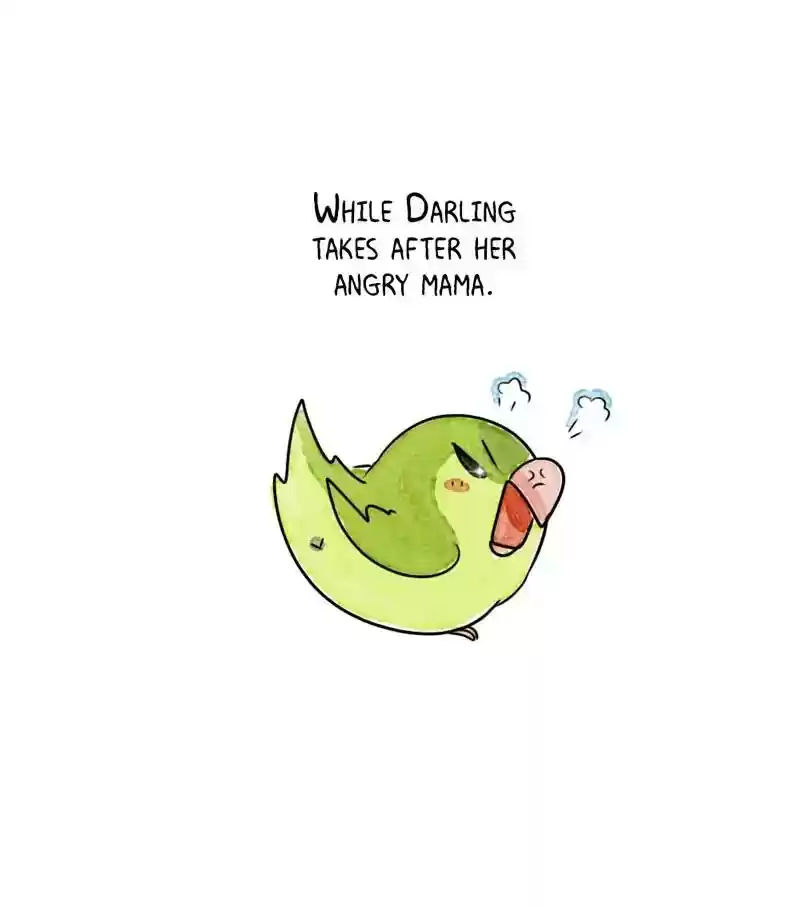 A Budgie's Life Chapter 196: Ep.195: