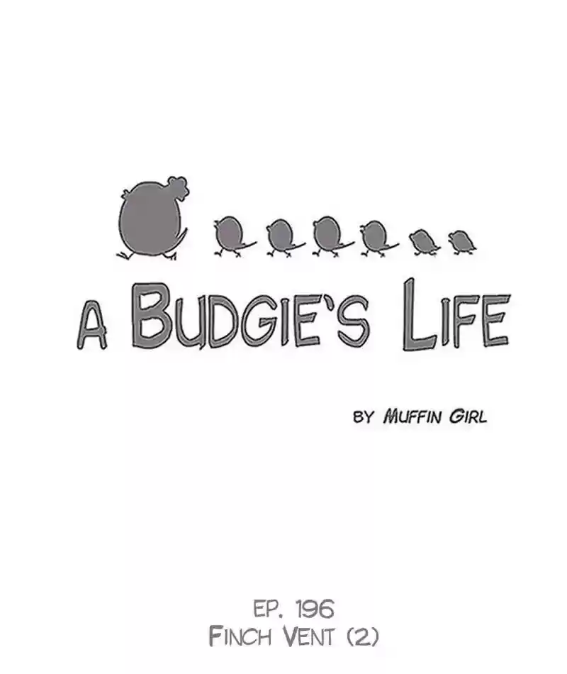 A Budgie's Life Chapter 197: Ep.196: