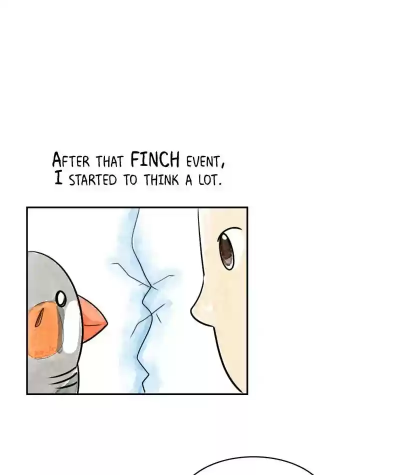 A Budgie's Life Chapter 197: Ep.196: