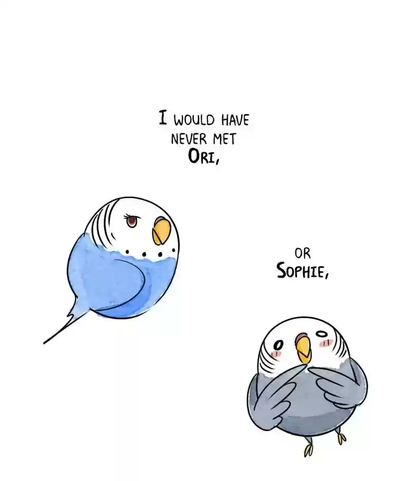 A Budgie's Life Chapter 197: Ep.196: