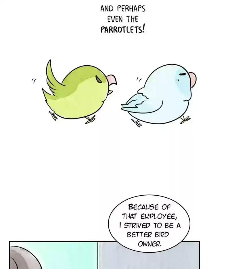 A Budgie's Life Chapter 197: Ep.196: