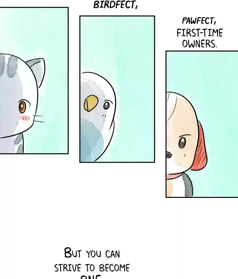 A Budgie's Life Chapter 197: Ep.196: